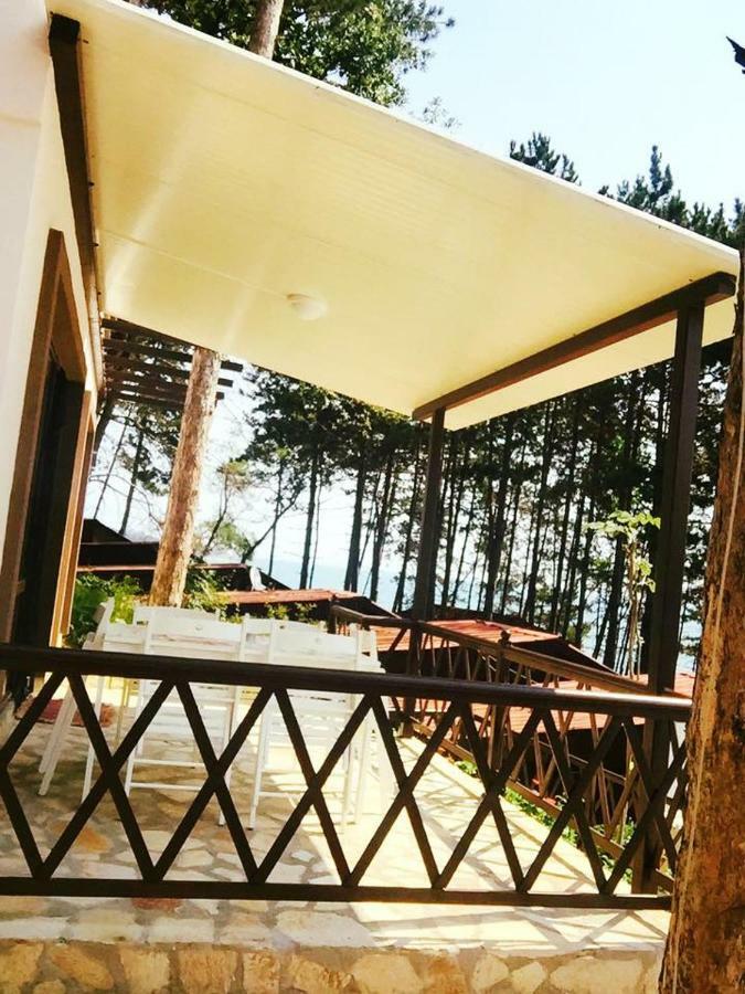 Hotel Dream View à Byala  Extérieur photo